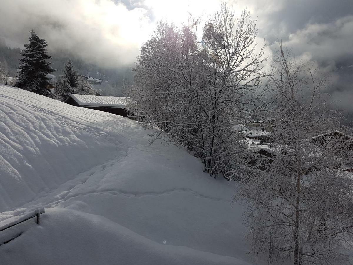 Arpege Des Neiges Apartman Sainte-Foy-Tarentaise Kültér fotó